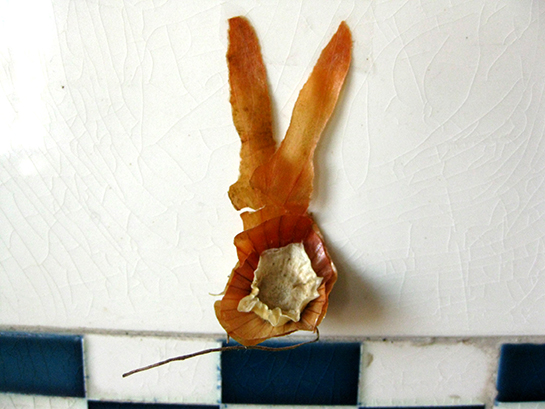 osterhase 600dpi