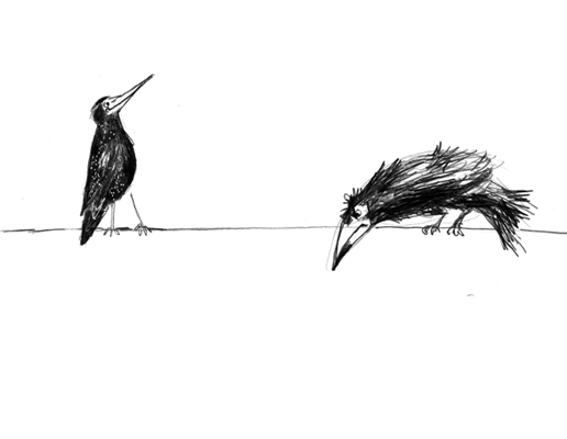 Illustration Buch Literatur Vogel Illustration Buch Literatur Vogel